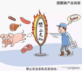習水豬肉放心購，飼料原料供應穩——解析非洲豬瘟防控下的市場保障