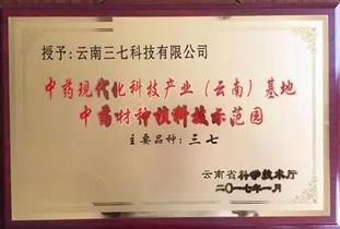 集團旗下三七科技榮膺中藥材領(lǐng)域兩項權(quán)威認(rèn)定，技術(shù)咨詢助力中草藥產(chǎn)業(yè)高質(zhì)量發(fā)展